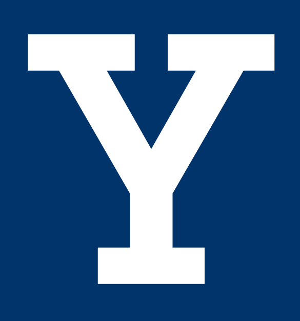 Yale Bulldogs 0-Pres Alternate Logo v2 diy iron on heat transfer